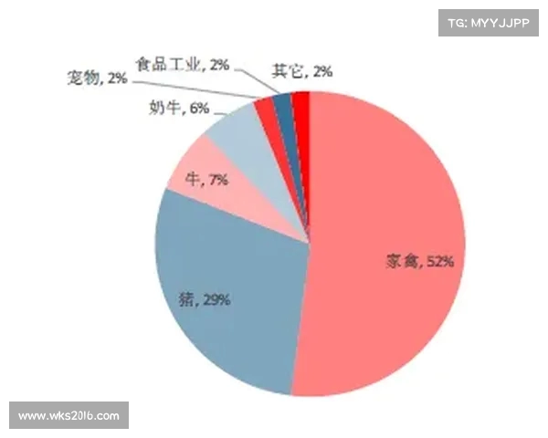 网球比赛数据分析：从技术统计到比赛策略的全面解读与趋势预测